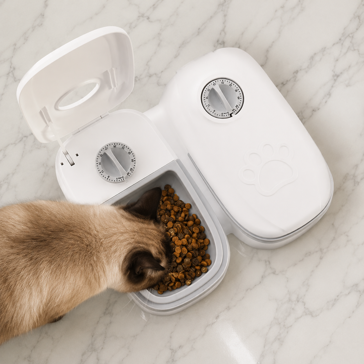 TimePaw — Automatic Timer Pet Feeder